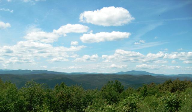 looking northwest from the clearing, Putney Mtn Ridge Trail